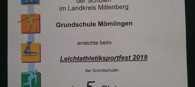 Leichtathletiksportfest 2019 Bürgstadt